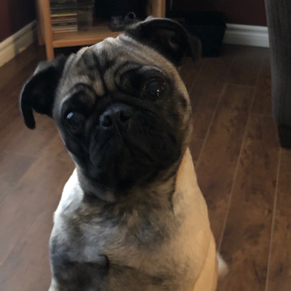 Meet your Posher, Kathy